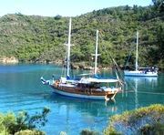 Mavi Yolculuk - Cennet gibi Koylar