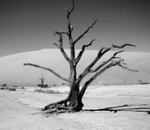 Kaç nefeslik ömrümüz kaldı ki?