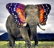 Mutlak ve göreceli düzen