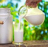 Süt ürünlerindeki risk