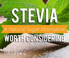 Stevia doğal Şeker